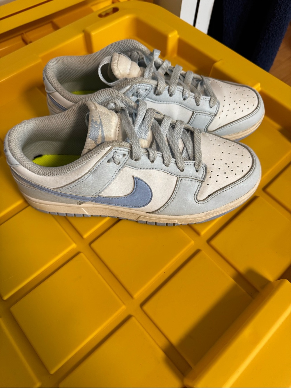 Nike dunks- women